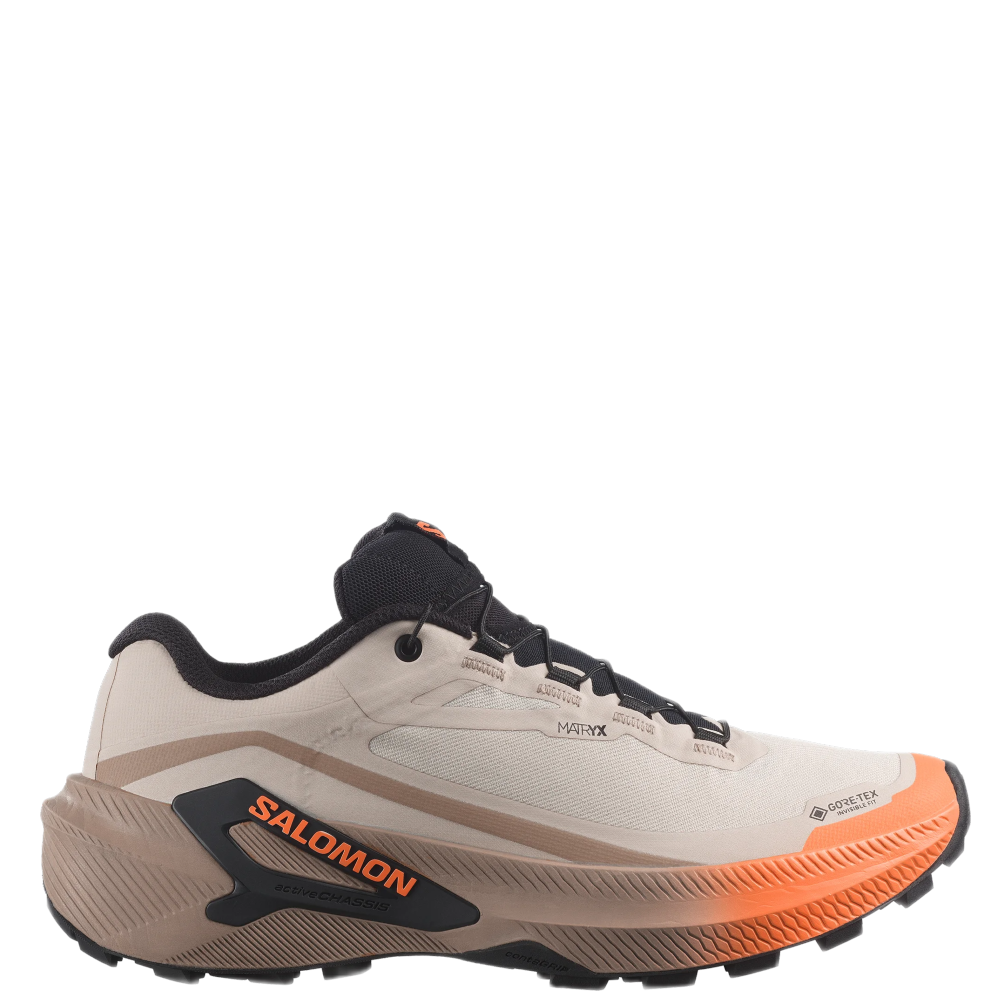 Salomon Genesis 2 GTX (F) - La Foulée Sportive