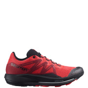 Pulsar Trail (H)