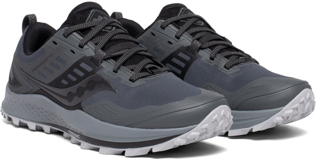 Peregrine 10 GTX (F) - La Foulée Sportive