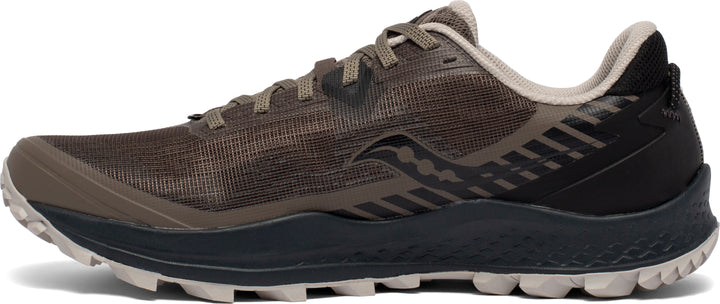 Peregrine 11 (H)