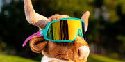 Save a bull ride a rodeo clown (WRAP G)
