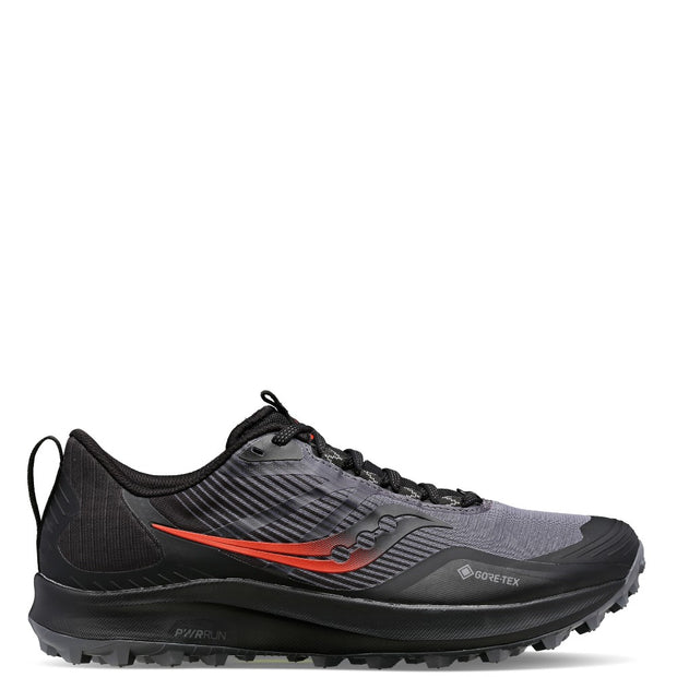 Peregrine 12 GTX (H)